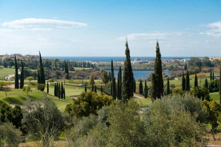 03-flamingosgolf112-18443635f40720ae3a0266525604ba7c