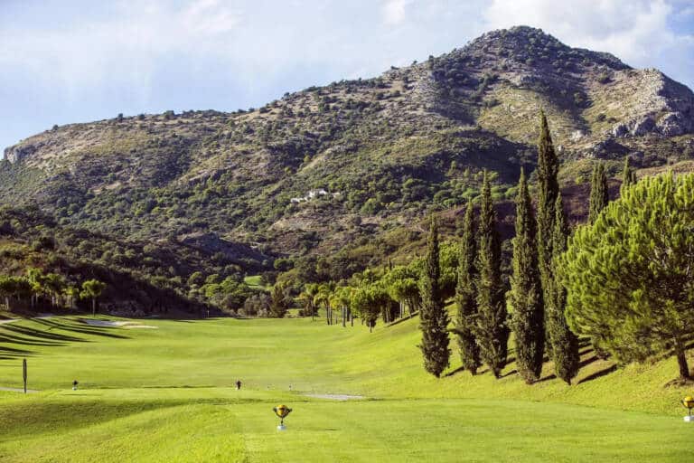 08-alferinigolf538-cb8a868aa4b2c663ae4987bd352a52cf