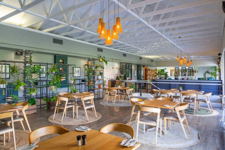 IMG_8966-lap0Npis