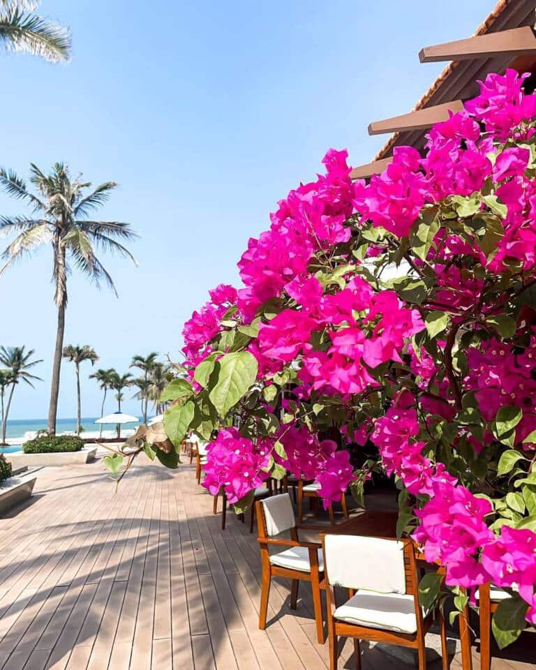 Furama-Resort-Danang-Vietnam-15