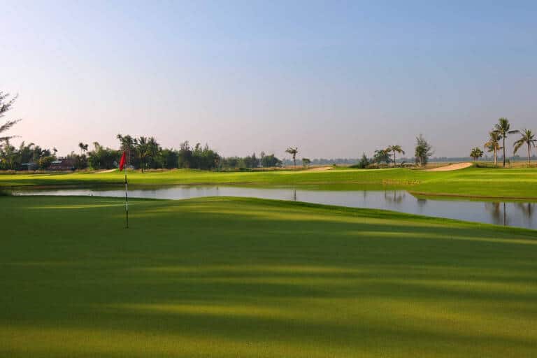 Monty Links3